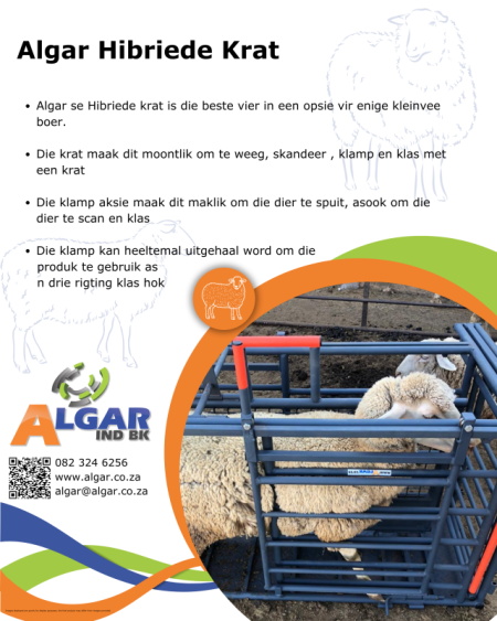 Skaap Hibriede Krat 2